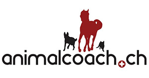 Gutscheine bei animalcoach.ch in Biel