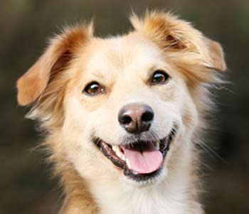 Zeitgemässe Ansätze beruhen auf Motivation