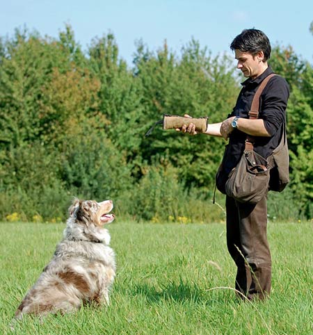 Kriterium - was genau soll der Hund lernen?