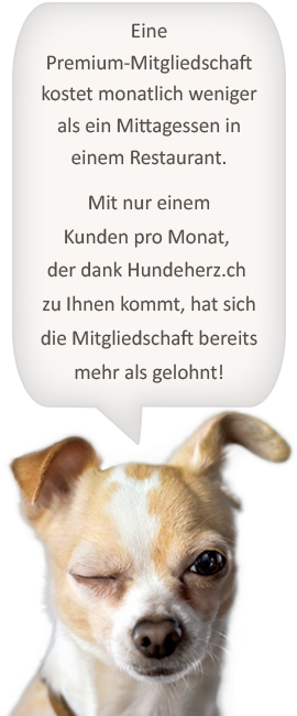 Eine Premium Mitgliedschaft zahlt sich aus!