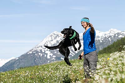 Wanderung Hund